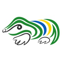 Widget Developer