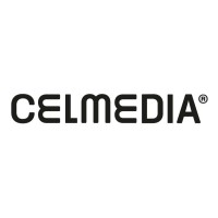 Strategy & Experience Director