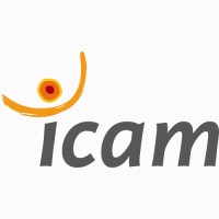 Teacher - Project Manager