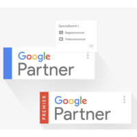 Google Account Strategist