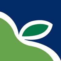 Director of Marketing