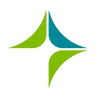 Data Analyst / Management Consultant