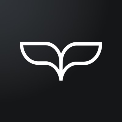 Software Engineer