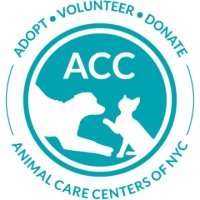 Animal Care Center of NYC | Adoption Counselor
