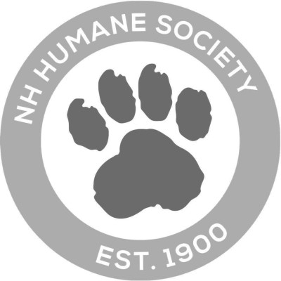 Executive Director