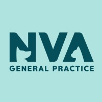 Vice President, HR Technology & Operations