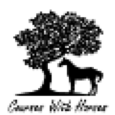 Sales and Marketing Coordinator