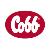 Auxiliar de Marketing