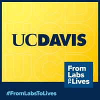 Graduate Teaching Assistant