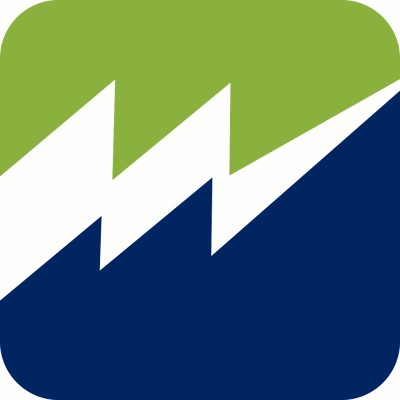 Programmer / Analyst