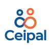 Senior Recruitment Consultant
