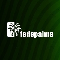 Freelance Translator
