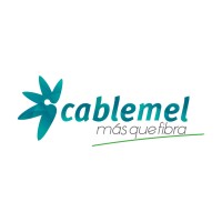 Director Ejecutivo