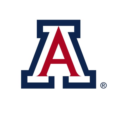 Technical Expert (Consultant)