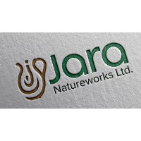 Data Analyst
