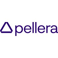 Security Systems Engineer