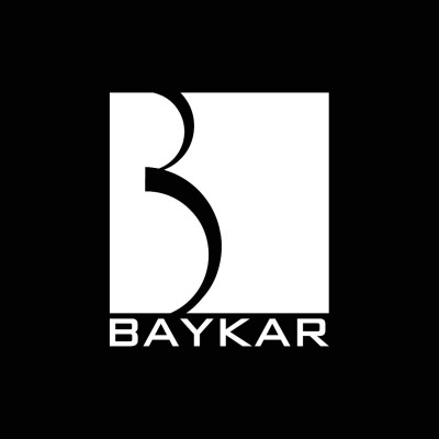 Software Developer