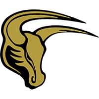 Volleyball Coach