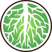 Chief Financial Officer