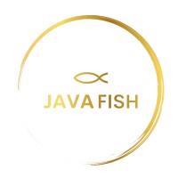 React Developer