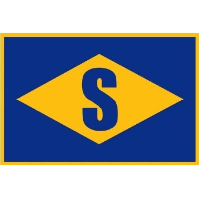 Chief Executive Officer - Steamships Logisitics
