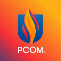 Associate CFO/Controller