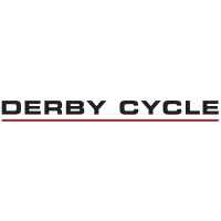 Projects and continuous improvement manager