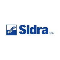 Consulente senior
