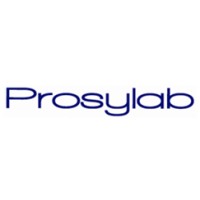 Senior Project Manager
