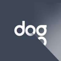 Senior Designer