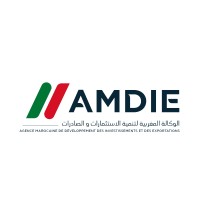 Manager audit / risk management / stratégie