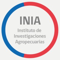 Proyecto de investigación