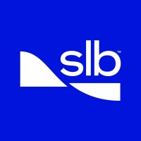 AP Business Partner Analyst