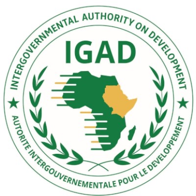 JJU-IGAD Research Project Coordinator