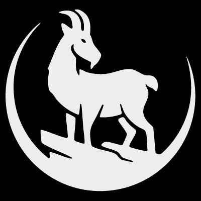 Tech Intern (Developer Team)