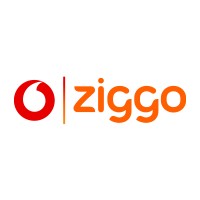 Business Objects BI Consultant