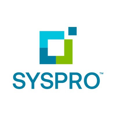 Executive Project Manager