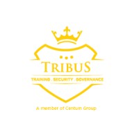 Lead Developer, Ajiry