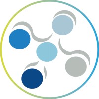 Gerente de Proyectos
