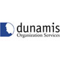 Implementation Strategist