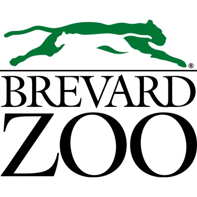 Board Member