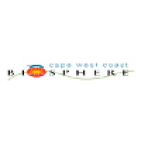 Social Media Coordinator