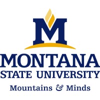Assistant Professor of Business Administration