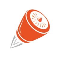 Senior Growth Strategist