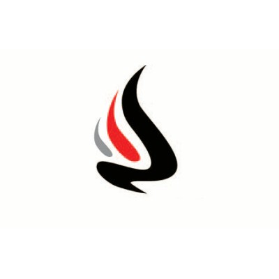 Venture Capitalist