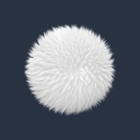Head Of Digital Marketing