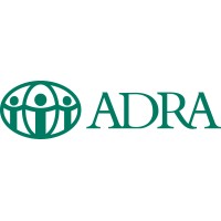 Gerente de projetos