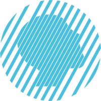 Chief Creative Officer (CCO)