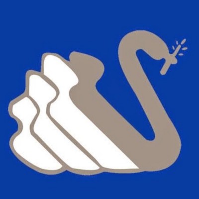 Graphic / UI Designer