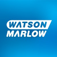 SEO & Technical Web Lead